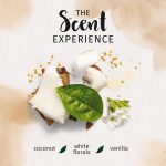 ⁦هيربل اسينسز شامبو خلاصة جوز الهند - 400 مل⁩ - الصورة ⁦3⁩