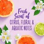 ⁦اوسي بلسم ميراكل سموث بخلاصة المشمش وزيت الماكديميا 236مل⁩ - الصورة ⁦4⁩