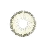 ⁦كوزمو سوفت عدسات عيون - فوريست⁩ - الصورة ⁦2⁩