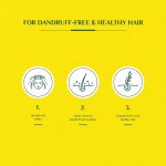 ⁦فاتيكا شامبو للحماية من القشرة مع زيوت فاتيكا المغذية -700 مل⁩ - الصورة ⁦5⁩