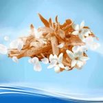 ⁦فبريز ملطف الجو برائحة الصندل الشرقي - 300 مل⁩ - الصورة ⁦2⁩