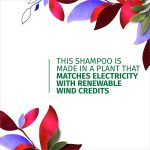 ⁦هيربل اسينسز شامبو ثمرة القهوة العربية 400 مل⁩ - الصورة ⁦5⁩