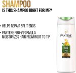 ⁦بانتين شامبو امتزاج الطبيعة 600 مل⁩ - الصورة ⁦3⁩