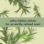 ⁦لوف بيوتي اند بلانيت شامبو بزيت شجرة الشاي ونجيل الهند 400 مل⁩ - الصورة ⁦4⁩