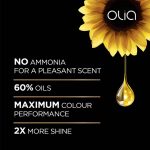 ⁦غارنييه اوليا صبغة شعر خالية من الامونيا - احمر بنفسجي 4.26⁩ - الصورة ⁦2⁩