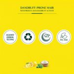 ⁦فاتيكا - شامبو للحماية من القشرة 200 مل⁩ - الصورة ⁦2⁩