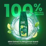 ⁦برت بلاس شامبو 4 في 1 إنتعاش البرد للرجال - 360 مل⁩ - الصورة ⁦4⁩