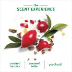 ⁦هيربل اسينسز شامبو ثمرة القهوة العربية 400 مل⁩ - الصورة ⁦4⁩