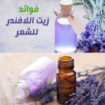 ⁦ناو زيت اللافندر العطري - 30مل⁩ - الصورة ⁦4⁩