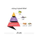 ⁦عطر الماجد للعود رويال كلاسيك للرجال - او دى بارفيوم 100 مل⁩ - الصورة ⁦4⁩