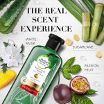 ⁦هيربل إيسنسز شامبو الصبار الفعال و المانجو لحماية اللون - 400 مل⁩ - الصورة ⁦3⁩